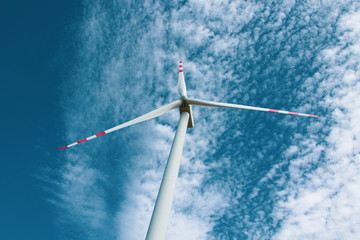 Ecology day in poland, another step to eco energy © Mefik