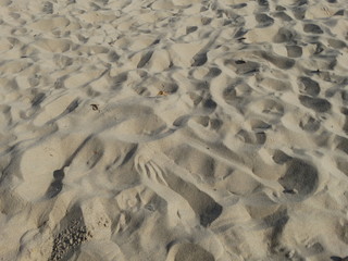 footprints in the sand