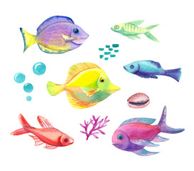 watercolor fishes collection, set of different spieces of tropical fish