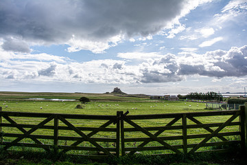 Fototapeta premium rural landscape with clouds