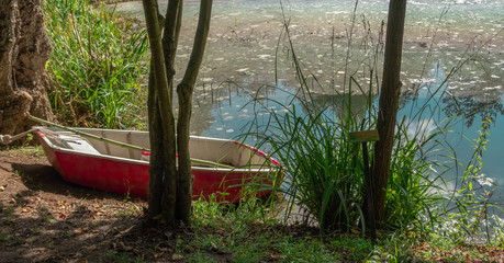 Boat in the botanic garden lake