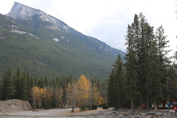 Bow falls trail Banff