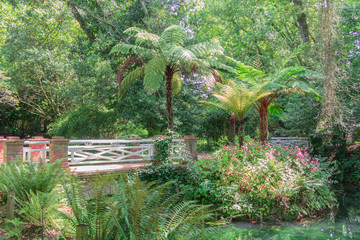 Bridge over the river