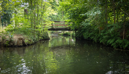 Fototapeta na wymiar Brücke im Spreewald