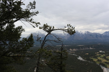View from Tunnel Mountain trail Banff