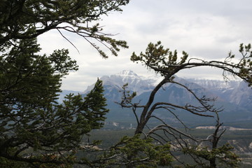 Obraz na płótnie Canvas View from Tunnel Mountain trail Banff