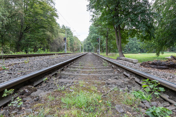Fototapeta premium railroad tracks in a countryside surroundes by trees and meadows, signal shows red