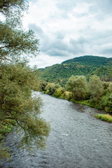 Fototapeta na wymiar big river in the forest