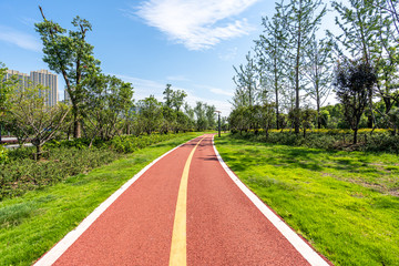 road in park