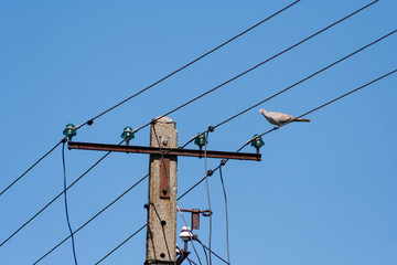 Old energy pole with four line in Poland. Electricity  price concept background