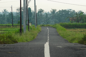 Empty Country Road
