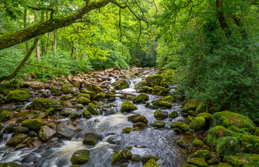 The River Plym on Dartmoor flowing past Dewerstone on towards Plymouth in Devon,UK.