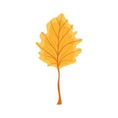 Beautiful colourful autumn leaf or fall foliage icon. Vector stock illustration isolated on white background. 