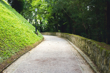 Fototapeta na wymiar Green park path near the Trakošćan castle in Croatia. 