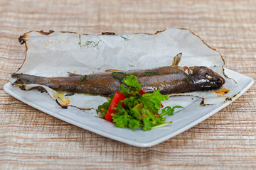 Baked trout carcass on a white square plate, served with basil leaves and cherry tomatoes. Side view