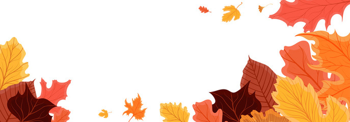 Bright fall autumn leaves harvest border baner. Colorful vector illustration with red, orange, brown and yellow leaves isolated on white background.
