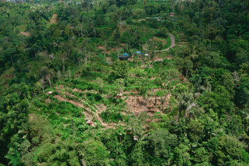 Photograph of a tropical mountain with green palm trees and a road