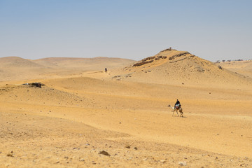 Fototapeta na wymiar Camel rider in Giza Pyramids in Cairo - Egypt