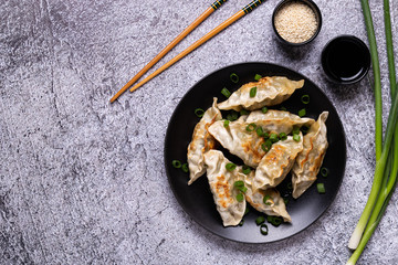 Fried dumplings Gyoza on a plate on a gray concrete background