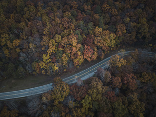 road in autumn