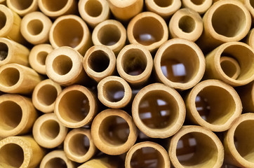 yellow bamboo craft background