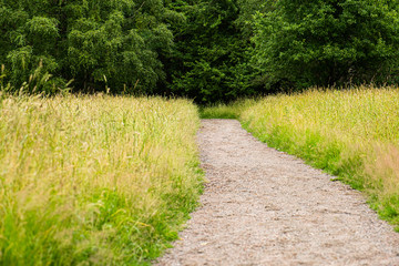 Obraz premium Gravel path going through a grass field.