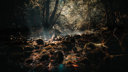 Gourgues d'asque dark