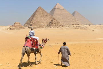 Camel rides in Giza Pyramids in Cairo - Egypt - obrazy, fototapety, plakaty