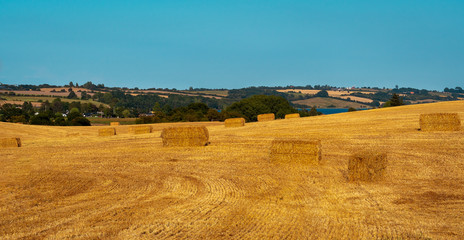 Fototapeta na wymiar Wide straw field of a farm infront of horizon with no person