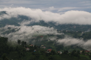 fog and cloud mountains valley landscape / turkey / rize 