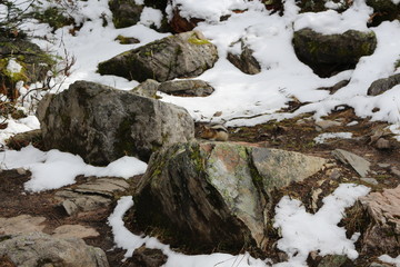 Plain of six glaciers trail - Lake Louise