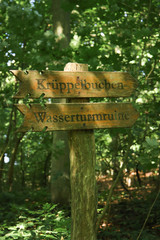 Guide post to European beech (Suentelbuche) and water tower ruin in Lietzow on the island Ruegen. Baltic Sea - Germany