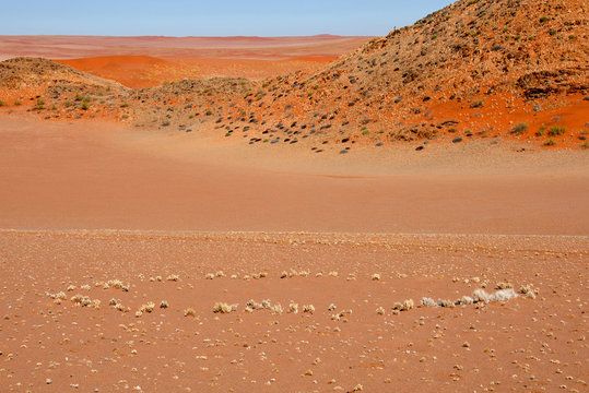 The fairy circles in the Namib Desert consist of bare patches of soil surrounded by rings of grass