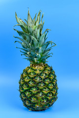 Whole ripe pineapple on the blue background