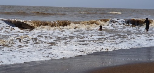 wild horses on the beach