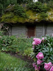 Holzhaus mit begr&uuml;ntem dach in Sarema