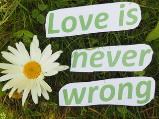 English proverb. cut the words. Love is never wrong