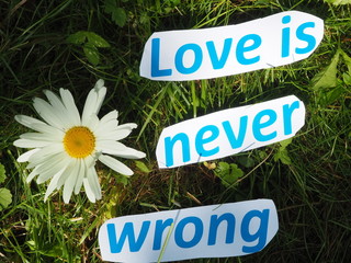 English proverb. cut the words. Love is never wrong