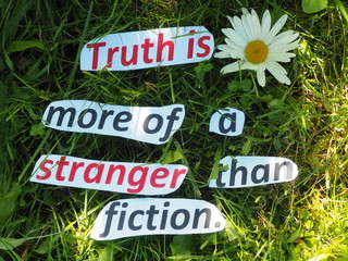 English proverb. cut the words. Truth is more of a stranger than fiction