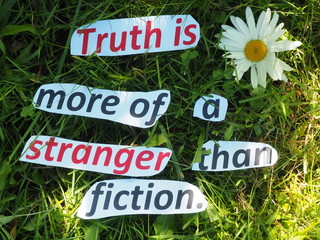 English proverb. cut the words. Truth is more of a stranger than fiction