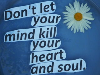 English proverb. expression. Don't let your mind kill your heart and soul