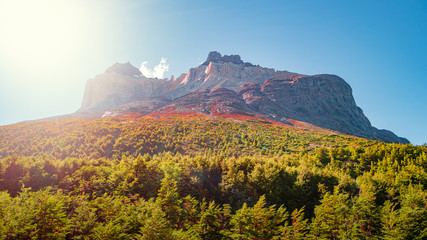 Obraz premium Magical colorful sunrise at major peaks, standing high towers teeth, and waterfall nearby surrounded by wet austral forests in Torres del Paine National Park, Patagonia, Chile, details