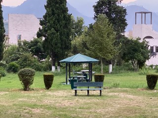 canopy and bench in the park
