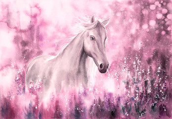 Obraz na płótnie Canvas Watercolor Painting - Wild Horse