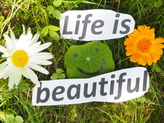 English proverb. expression. Life is beautiful.