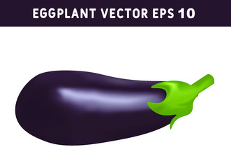 Eggplant whole realistic image. Aubergine. Vector illustration isolated on white background.