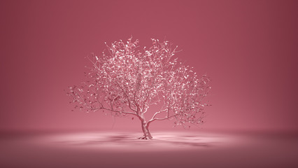 Single deciduous old tree in monochrome pink color environment, 3d rendering