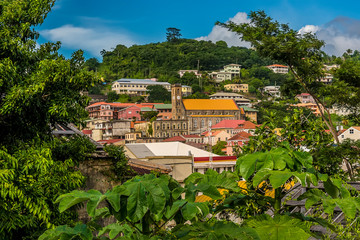 A glimpse through the foliage towards the buildings on the hill above St George in Grenada - obrazy, fototapety, plakaty