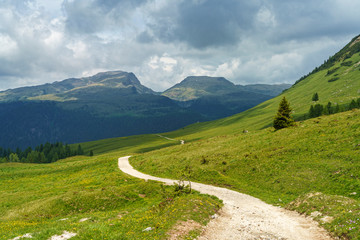 Landscape of Dolomites in Venegia valley at summer