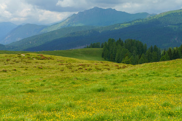 Fototapeta premium Landscape of Dolomites in Venegia valley at summer